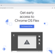 Chrome OS Flex is in the early stages of testing.
